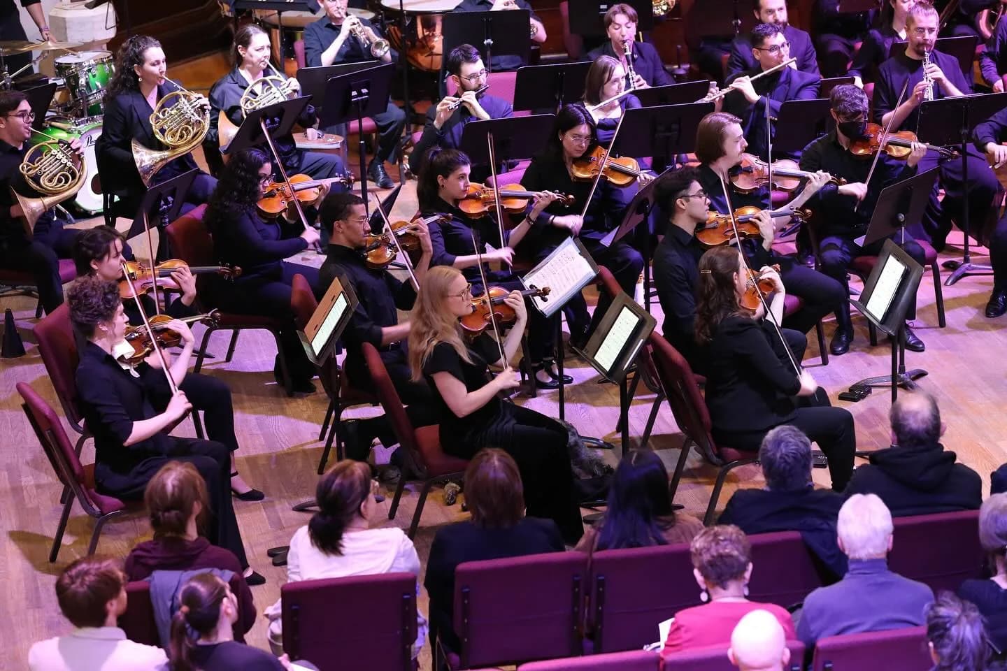 Collegium Musicum New York