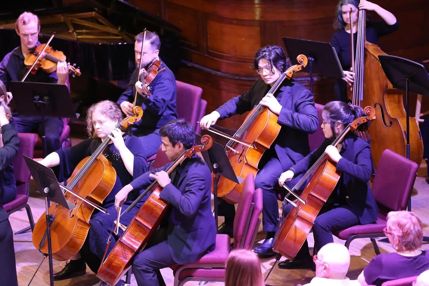 Collegium Musicum New York